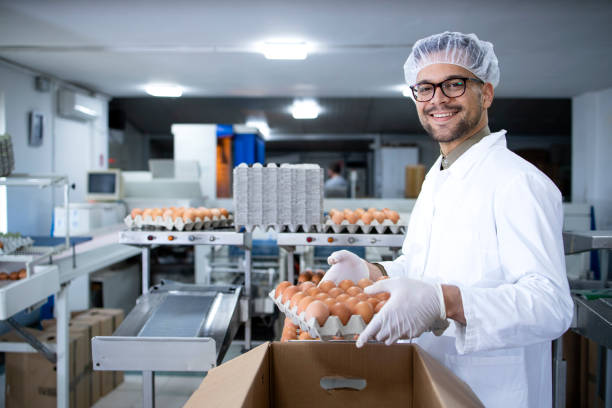 Cómo Empezar a Trabajar en Empaque de Alimentos: Guía Práctica para Nuevos Trabajadores