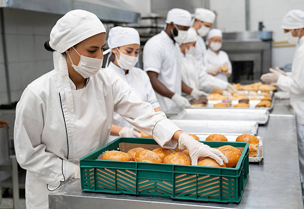 How to Get Started in Food Packing: A Practical Guide for New Workers